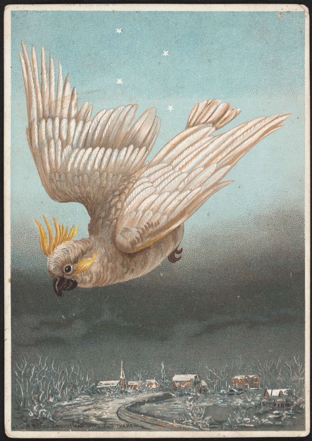 A white sulfur crested cockatoo is flying over a white snowy scene