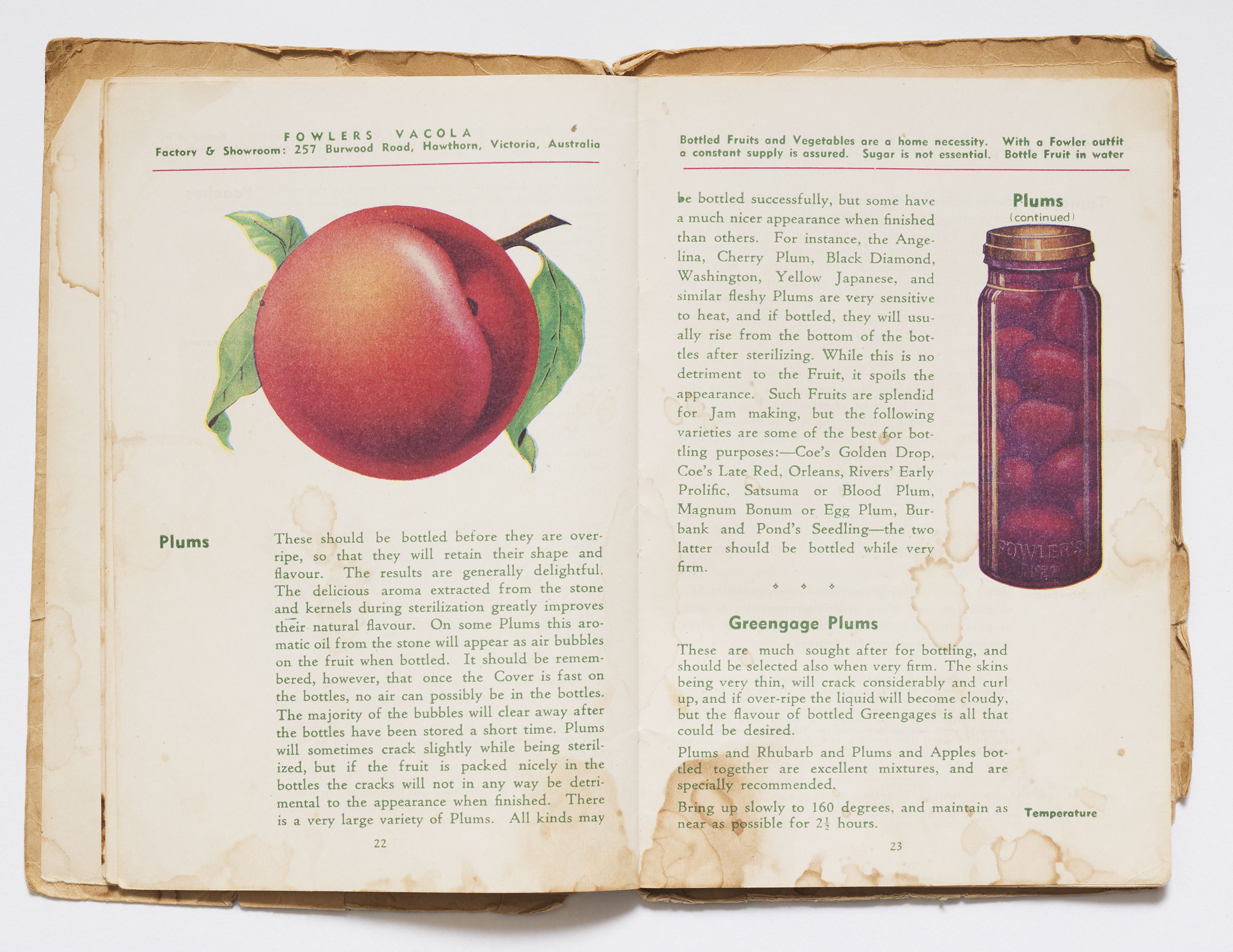 A page from the Fowlers booklet that features a coloured illustration of bottled plums.
